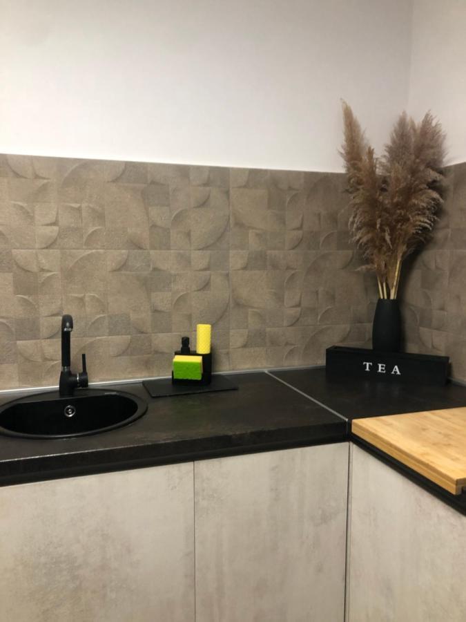 Studio Apartman Avenija *** Slavonski Brod Ngoại thất bức ảnh